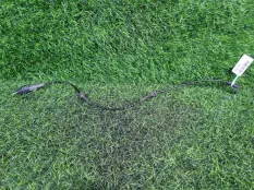 Блок ABS Citroen C4