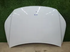 Капот Volkswagen Tiguan