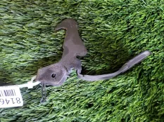 Замок капота Opel Corsa