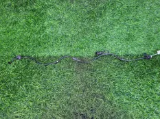 Датчик ABS Audi A4