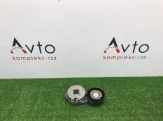 Натяжитель приводного ремня Audi A4