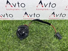 Динамик Volkswagen Tiguan