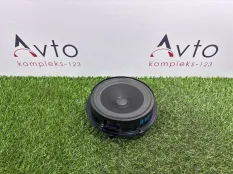 Динамик Volkswagen Tiguan