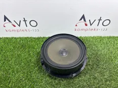 Динамик Volkswagen Tiguan