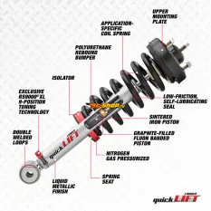 Shock / Strut & Coil Spring Assembly