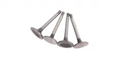 Клапана Урал не магнитятся