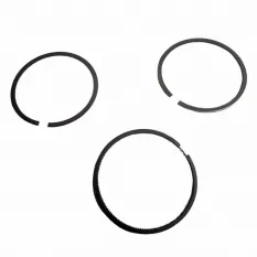 Кольца поршневые JDZ195ND комплект