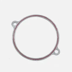 Прокладка крышки головки VJP250-4 172FMM