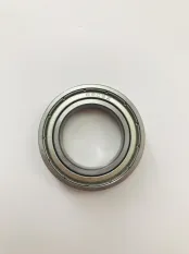 Подшипник 1000905 (6905) (25x42x9) 2RS задней оси