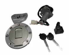 Замок зажигания Rigel