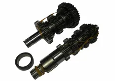 Коробка в сборе ZS165FMM