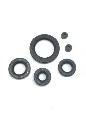 Набор сальников двигателя 167FMM