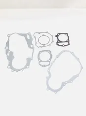 Набор прокладок Shineray VJ250 169YMM