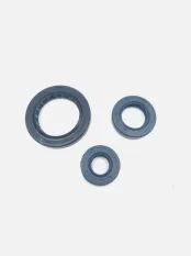 Набор сальников двигатель 167FMM мотоцикл Adventur