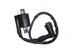 Катушка зажигания в сборе трицикл LF200ZH-2 завод