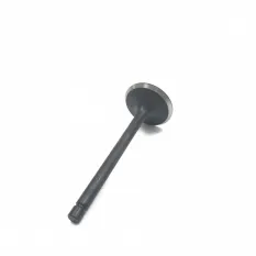 Клапан впускной Lifan 20 л.с. 192F-2T KP460 14411-