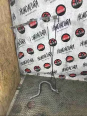 Петля крышки багажника Honda Accord