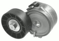 Натяжитель ремня JUMPER,DUCATO,BERLINGO 2574101