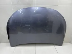 Капот Exeed TXL