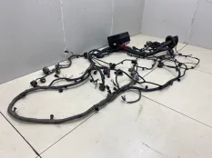 Проводка ДВС Chery Tiggo 7 Pro