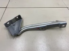 Петля капота левая Tank 500