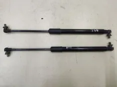 Амортизаторы двери багажника (Комплект) Renault