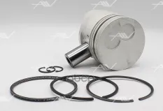 PN-31032 поршень с кольцами 1.00 MAZDA RF/R2 Autowelt арт. PN-31032