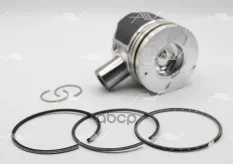 PN-40010 поршень с кольцами STD SSANG YONG D20DT Autowelt арт. PN-40010