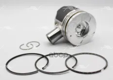 PN-40011 поршень с кольцами 0.50 SSANG YONG D20DT Autowelt арт. PN-40011