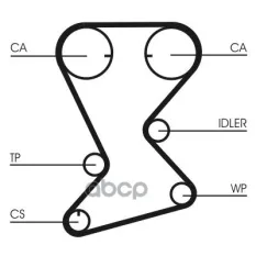 РЕМЕНЬ ГРМ Continental арт. CT1108