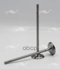 VI-51033 клапан впуск VAG DADA/DFYA/DLAA... 29x5x112.7 Autowelt арт. VI-51033