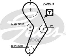 ремень ГРМ! 095x170 Renault Clio 1.2/1.4 90-98/Megane 1.4/1.6 95-98 Gates арт. 5192XS