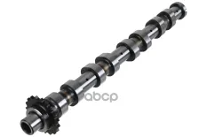 распредвал выпускной! 0801AH Peugeot 307 1.6HDi DV6TED4 04> Stellox арт. 1010072SX