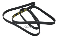 ремень поликлиновой! 6PK2436 Thermo King SL/Spectrum ZENTPARTS арт. Z23311