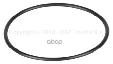 уплотнительное кольцо термостата! DAF XF106 13> DAF арт. 2022929