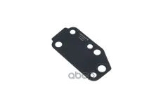 прокладка помпы! 1096559 Ford Transit 2.4D D2FB 00> ZENTPARTS арт. Z17700