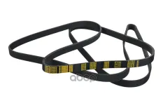 ремень поликлиновой! 6PK2585 KIA Carens III MPV 2.0 CVVT 06> ZENTPARTS арт. Z22719
