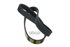 ремень поликлиновой! 6PK844 Opel Movano 2.8DTi 99> ZENTPARTS арт. Z23226