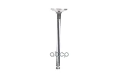 клапан впускной! 28.6x6x101.6 Chevrolet Aveo/Lacetti 1.4i 16V F14D3 03> ZENTPARTS арт. Z71419