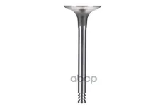 клапан впускной! 36x8x95.55 VW Golf/Passat/T4 1.9TD/LT 2.4TD 89> ZENTPARTS арт. Z71453