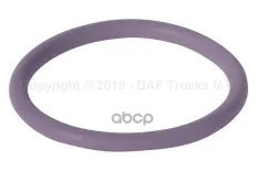 кольцо уплотнительное форсунки! (р) DAF CF85/XF105/95 DAF арт. 1638270