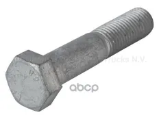 Болт штанги стабилизатора M20x100 8.8 DAF арт. 0289174
