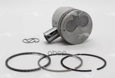 PN-30010 поршень с кольцами STD ISUZU 4EE1T Autowelt арт. PN-30010