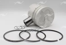 PN-33310 поршень с кольцами STD NISSAN ED33 Autowelt арт. PN-33310