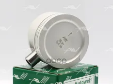 Поршень  C16NZ STD (79,0) без колец Autowelt арт. 'PN53040
