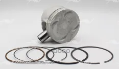 PN-35000 поршень с кольцами STD HONDA B20B4 DOHC 16V Autowelt арт. PN-35000