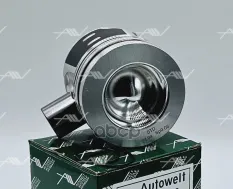 PN-57210 поршень STD BMW/CITROEN/FORD/PEUGEOT/VOLVO T3DA/DV6C/D4162T 1.6 HDi Autowelt арт. PN-57210