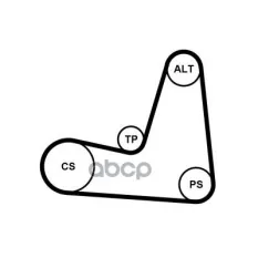 Поликлиновый ремень + 2 ролика Continental арт. 5PK1135K1