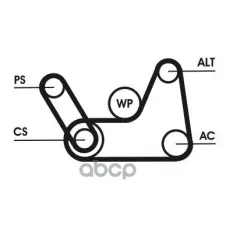 Комплект поликлинового ремня CONTITECH Continental арт. 6PK1019ELASTT1