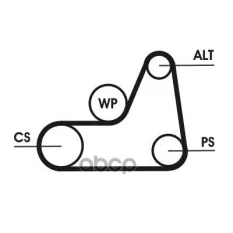 Ремень приводной FOCUS/FIESTA/FUSION (-А/С) Continental арт. '6PK1042ELAST